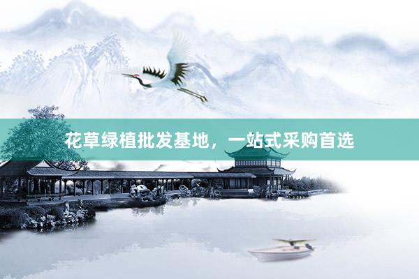 花草绿植批发基地,一站式采购首选