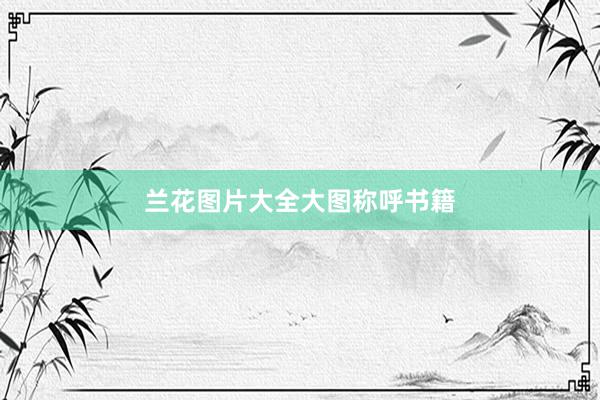 兰花图片大全大图称呼书籍